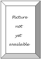 Bevel:      Picture        not        yet   available    