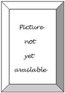 Bevel:      Picture        not        yet   available    